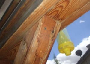 you could almost miss this defect if you weren't paying attention... a bolt would be good